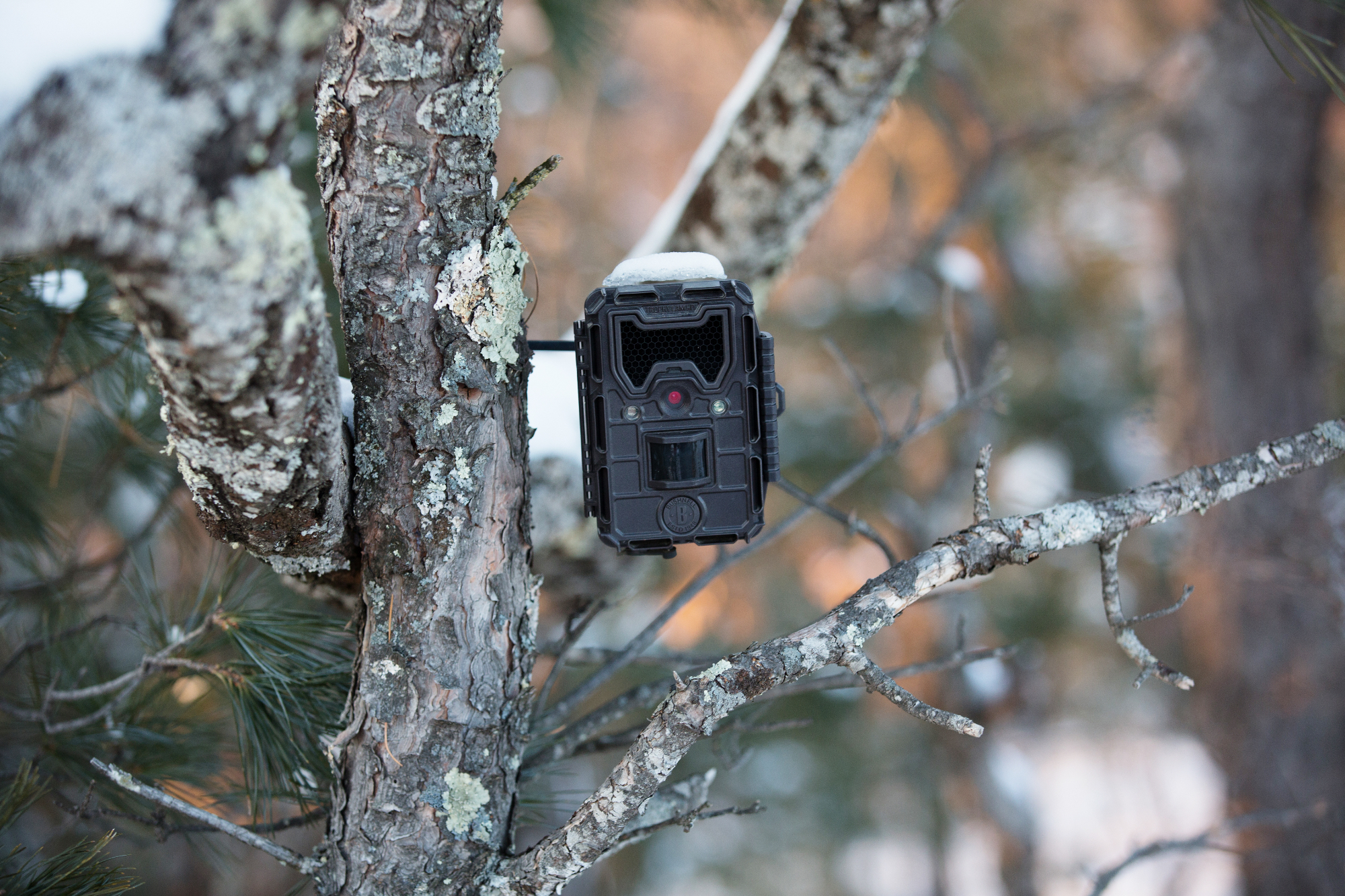 Lovska kamera stricu zelo pomaga pri pregledu gozda